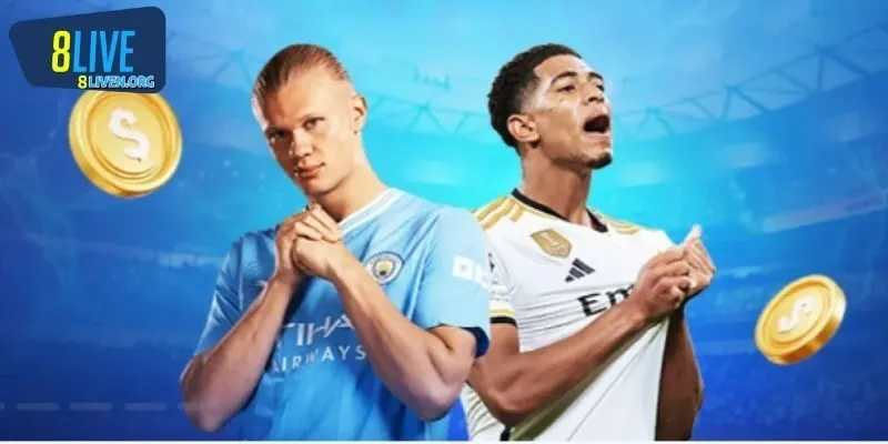 Điều kiện cần đáp ứng để trở thành đại lý 8LIVE